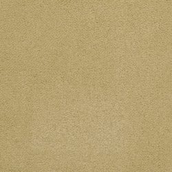Masland  Panache Carpet 9431 371