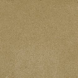 Masland  Panache Carpet 9431 372