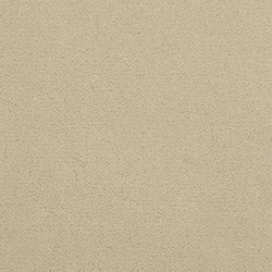 Masland  Panache Carpet 9431 413