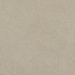 Masland  Panache Carpet 9431 415