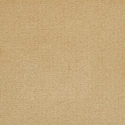 Masland  Panache Carpet 9431 417