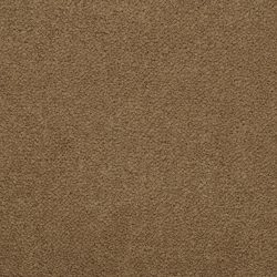 Masland  Panache Carpet 9431 419