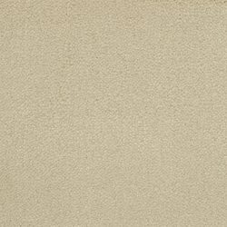 Masland  Panache Carpet 9431 429