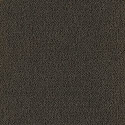 Masland  Panache Carpet 9431 435