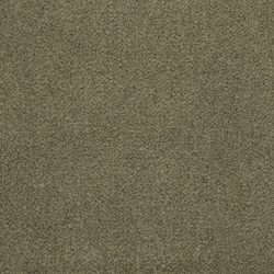 Masland  Panache Carpet 9431 439
