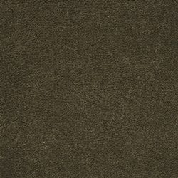 Masland  Panache Carpet 9431 442