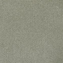 Masland  Panache Carpet 9431 449