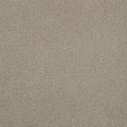 Masland  Panache Carpet 9431 484