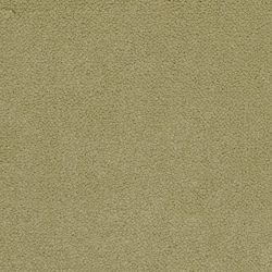 Masland  Panache Carpet 9431 495
