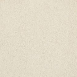 Masland  Americana Carpet 9439 037