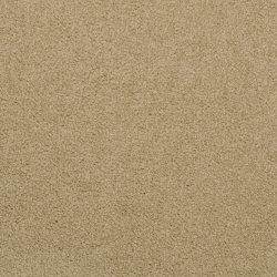 Masland  Americana Carpet 9439 510