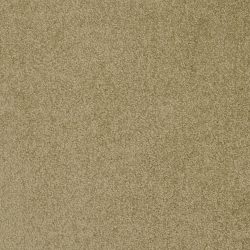 Masland  Americana Carpet 9439 632