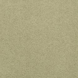 Masland  Americana Carpet 9439 742