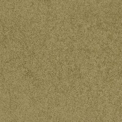 Masland  Americana Carpet 9439 772