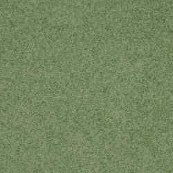 Masland  Americana Carpet 9439 780