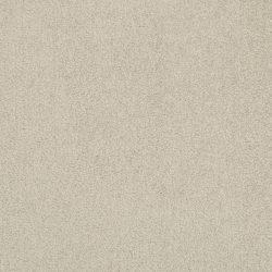 Masland  Americana Carpet 9439 803