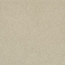 Masland  Americana Carpet 9439 829