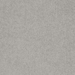 Masland  Americana Carpet 9439 841