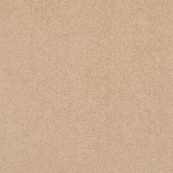 Masland  Americana Carpet 9439 901