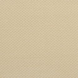Masland  Seurat Carpet 9440 309