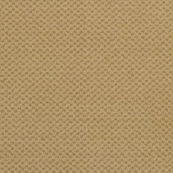 Masland  Seurat Carpet 9440 326