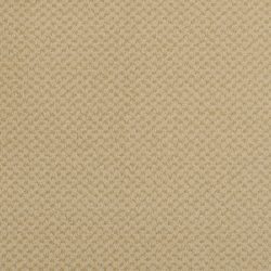 Masland  Seurat Carpet 9440 332