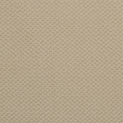 Masland  Seurat Carpet 9440 508