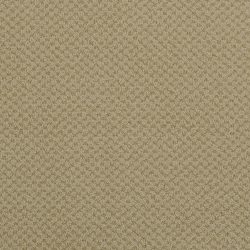 Masland  Seurat Carpet 9440 568