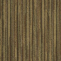 Masland  Trends Carpet 9448 48102
