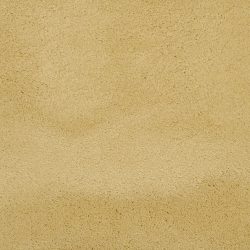 Masland  Posh Carpet 9455 362
