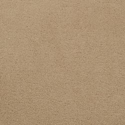 Masland  Posh Carpet 9455 548