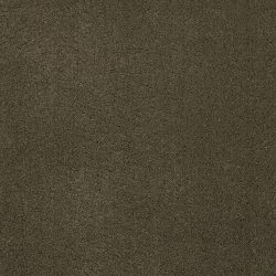 Masland  Posh Carpet 9455 762