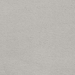 Masland  Posh Carpet 9455 825