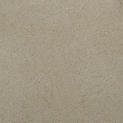 Masland  Posh Carpet 9455 835