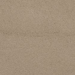 Masland  Posh Carpet 9455 842