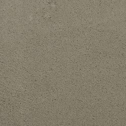 Masland  Posh Carpet 9455 848