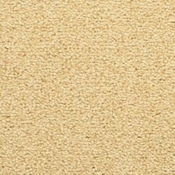 Masland  Corniche Carpet 9476 355