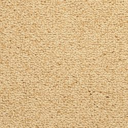 Masland  Corniche Carpet 9476 571