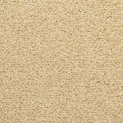 Masland  Corniche Carpet 9476 580