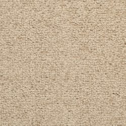 Masland  Corniche Carpet 9476 636