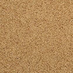 Masland  Corniche Carpet 9476 662
