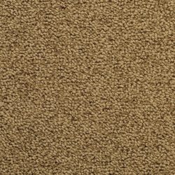 Masland  Corniche Carpet 9476 667