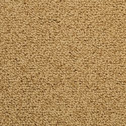 Masland  Corniche Carpet 9476 671