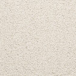 Masland  Corniche Carpet 9476 805