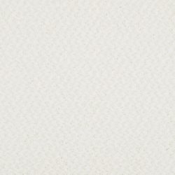 Masland  New Hope Carpet 9478 009