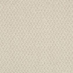Masland  New Hope Carpet 9478 040