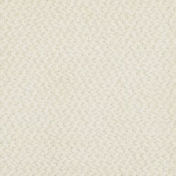 Masland  New Hope Carpet 9478 048