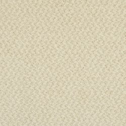 Masland  New Hope Carpet 9478 098