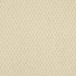 Masland  New Hope Carpet 9478 305
