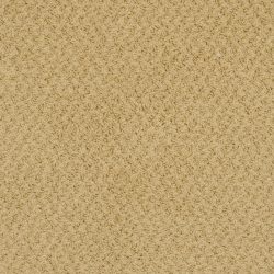 Masland  New Hope Carpet 9478 360